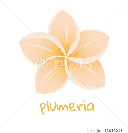 Plumeria illustration. Vibrant tropical flower. Realistic botanical hand drawn painting isolated on white background. Cartoon design for poster, icon, card, logo, label, banner, sticker. 110580154