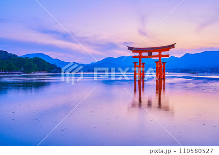 広島県宮島／夕暮れ時の厳島神社大鳥居 110580527