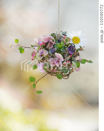 ビオラの花ボール 110580772