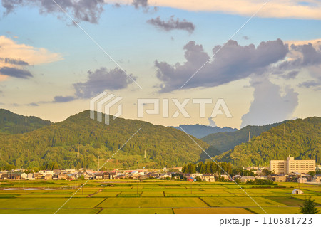 新潟県／田んぼ・畦道 110581723