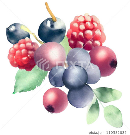 Berry  110582023