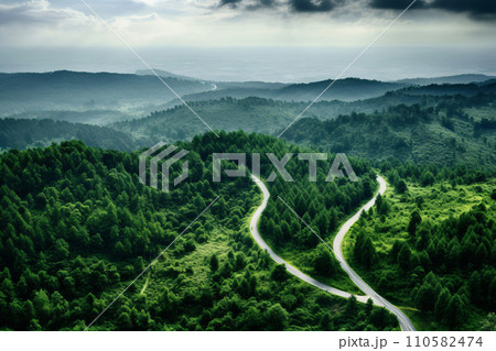 Winding Country Road Through Lush Green Forest and Mountains 110582474