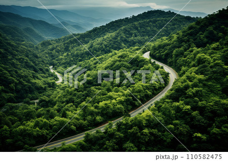 Winding Country Road Through Lush Green Forest and Mountains 110582475