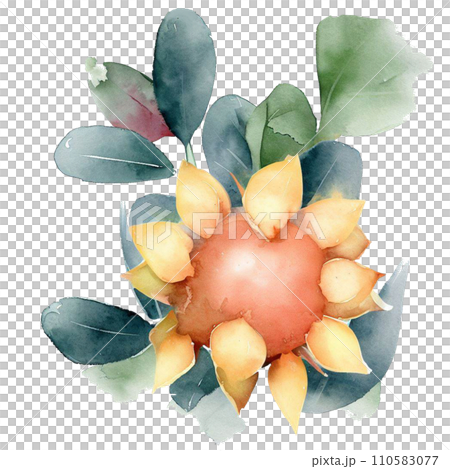 Fruit Fruit 110583077