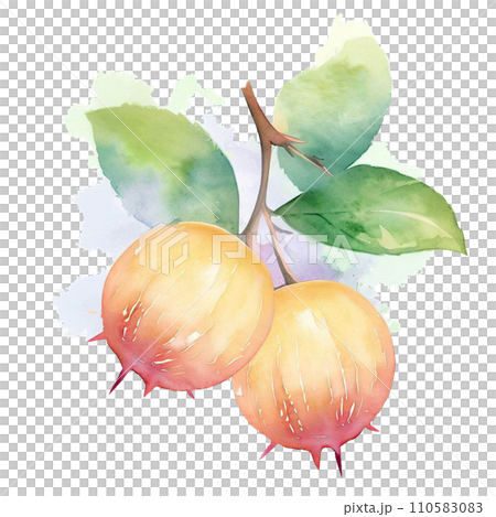 Fruit  110583083