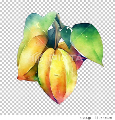 Fruit  110583086