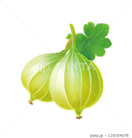 Fruit  Fruit  110584076