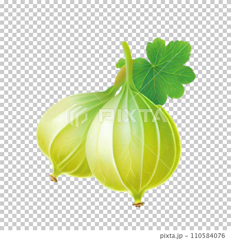 Fruit  Fruit  110584076