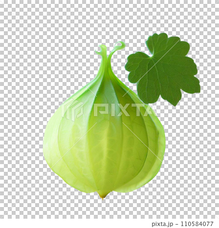 Fruit  Fruit  110584077