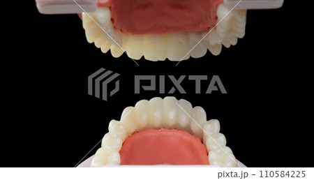 Point of View from inside Artificial Tooth Plastic jaw decay. POV inside Teeth of dental jaw model. Black background isolated Point of View from inside Artificial Tooth Plastic jaw decay. POV inside Teeth of dental jaw model. Black background isolated 110584225
