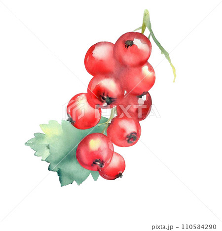 Fruit Fruit 110584290