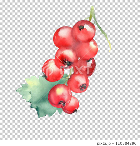 Fruit Fruit 110584290