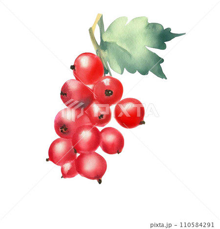 Fruit  110584291