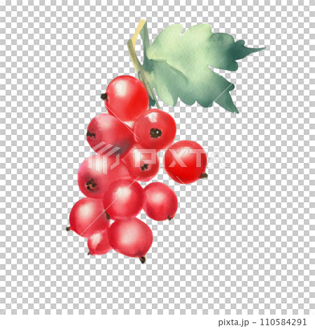 Fruit  110584291