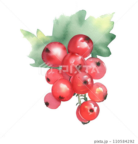 Fruit  110584292