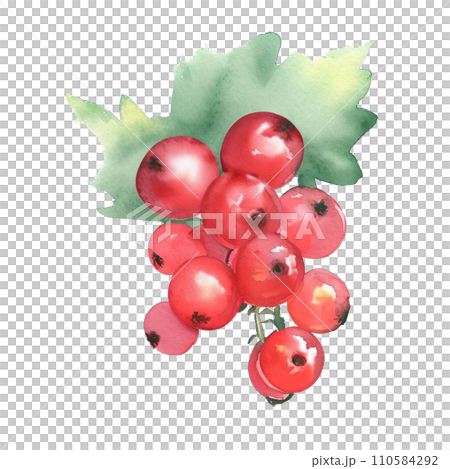 Fruit  110584292