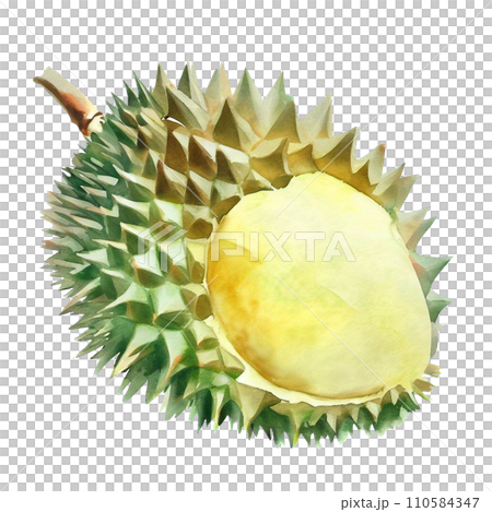 durian 110584347
