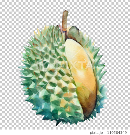 durian 110584349