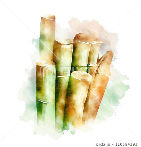 sugar cane sugar cane 110584393