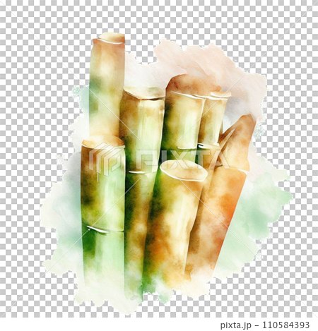 sugar cane sugar cane 110584393