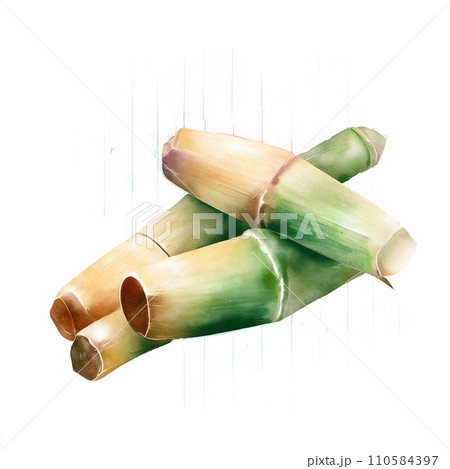 sugar cane sugar cane 110584397