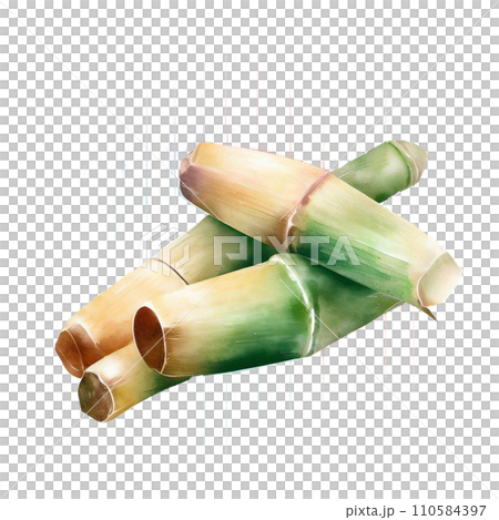 sugar cane sugar cane 110584397