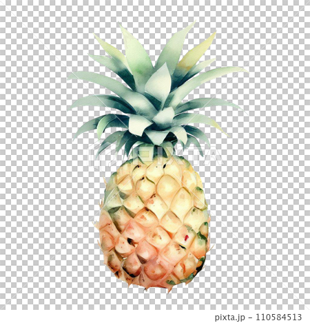 pineapple pineapple 110584513