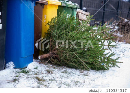 Christmas tree in the trash, waiting for the garbage truck to collect it, biodegradable waste 110584517