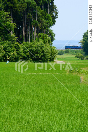 里山を走るのと鉄道 里山を走るのと鉄道 110585342