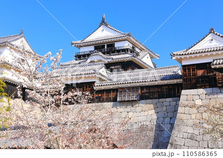 【愛媛県】桜が満開の松山城天守閣 110586365
