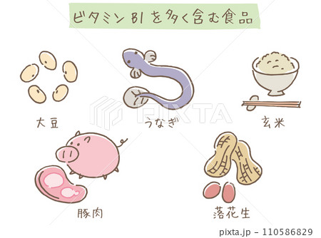 ビタミンB1を多く含む食品 ビタミンB1を多く含む食品 110586829