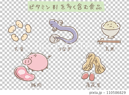 ビタミンB1を多く含む食品 ビタミンB1を多く含む食品 110586829