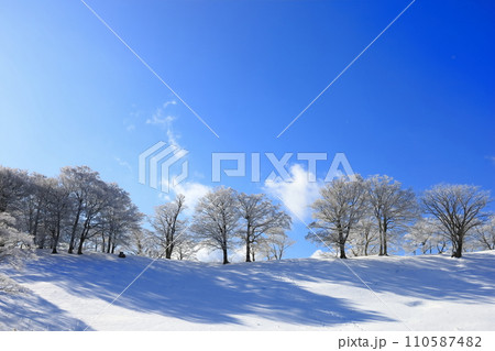 明神平の霧氷（樹氷） 110587482