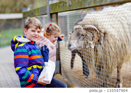 Two children cute toddler girl and school kid boy feeding little goats and sheeps on a kids farm. Happy healthy siblings brother and sister petting animals in the zoo. Exciting family weekend. Two children cute toddler girl and school kid boy feeding little goats and sheeps on a kids farm. Happy healthy siblings brother and sister petting animals in the zoo. Exciting family weekend. 110587904