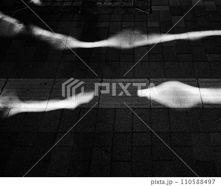 路面と光の道 110588497
