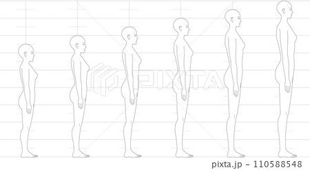 横から見た人間の身長バランス。 6.5頭身7頭身8頭身9頭身の 女性体形のイラストのイラスト素材 [110588548] - PIXTA