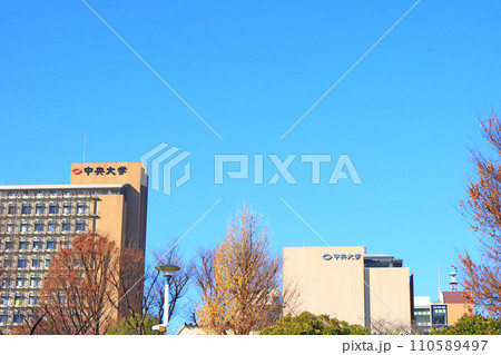 東京都文教区、中央大学の風景 110589497