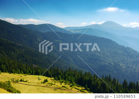 green carpathian mountain landscape with forested hills. alpine ukrainian scenery in summer with open view in to the distant hoverla peak. warm summer forenoon 110589653