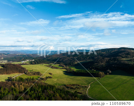 Aerial view of green summer farm fields, crops or pasture with road. 110589670