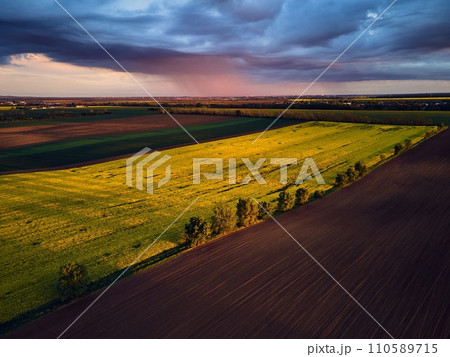 Aerial view of green summer farm fields, crops or pasture with during sunset. 110589715