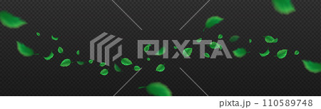 Flying green leaves vector image on transparent background 110589748