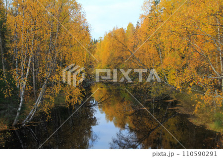 vortex of yellow leaves on the salmon river vortex of yellow leaves on the salmon river 110590291