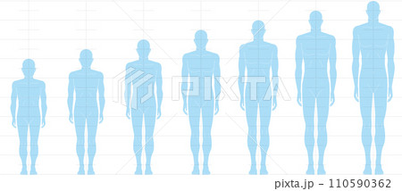 前から見た人間の身長バランス。 6頭身7頭身8頭身9頭身の 男性体形のイラスト 前から見た人間の身長バランス。 6頭身7頭身8頭身9頭身の 男性体形のイラスト 110590362