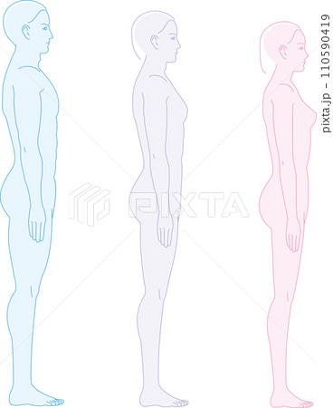 横から見た人間。 男性女性ジェンダーレス体形のイラスト 横から見た人間。 男性女性ジェンダーレス体形のイラスト 110590419