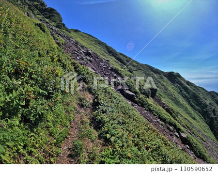 利尻山沓形ルートの親不知子不知 110590652