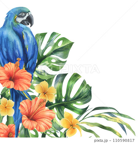 Tropical palm leaves, monstera and flowers of plumeria, hibiscus, bright juicy with blue-yellow macaw parrot. Hand drawn watercolor botanical illustration. Template, frame isolated from the background 110590817