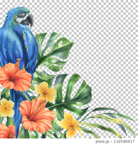 Tropical palm leaves, monstera and flowers of plumeria, hibiscus, bright juicy with blue-yellow macaw parrot. Hand drawn watercolor botanical illustration. Template, frame isolated from the background 110590817