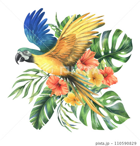 Tropical palm leaves, monstera and flowers of plumeria, hibiscus, bright juicy with blue-yellow macaw parrot. Hand drawn watercolor botanical illustration. Composition isolated from the background. Tropical palm leaves, monstera and flowers of plumeria, hibiscus, bright juicy with blue-yellow macaw parrot. Hand drawn watercolor botanical illustration. Composition isolated from the background. 110590829