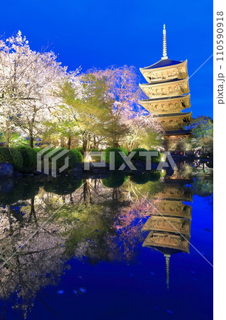 【京都府】東寺と満開の夜桜(夜間特別拝観) 【京都府】東寺と満開の夜桜(夜間特別拝観) 110590918