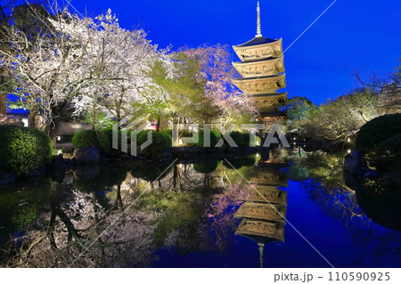 【京都府】東寺と満開の夜桜（夜間特別拝観） 110590925